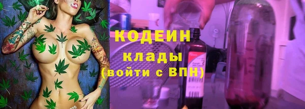 дурь Бородино