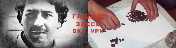 индика Вяземский