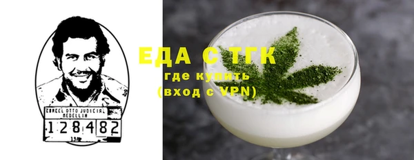 индика Вяземский