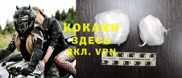 индика Вяземский
