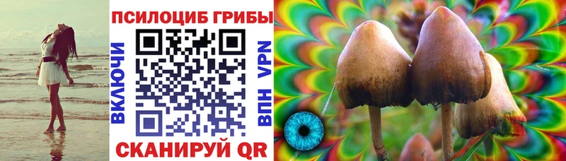 Псилоцибиновые грибы Magic Shrooms Донской
