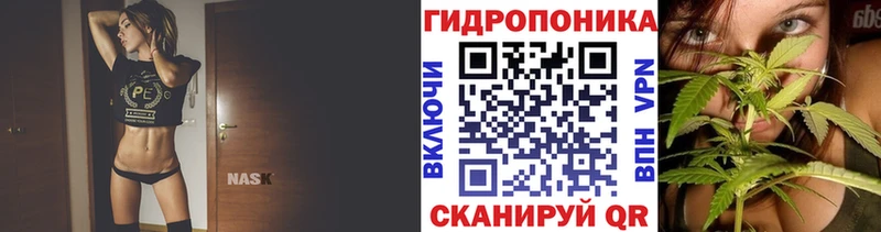 кракен ТОР  Донской  МАРИХУАНА индика 